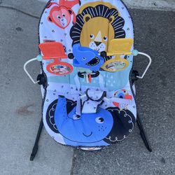 Baby Bouncer
