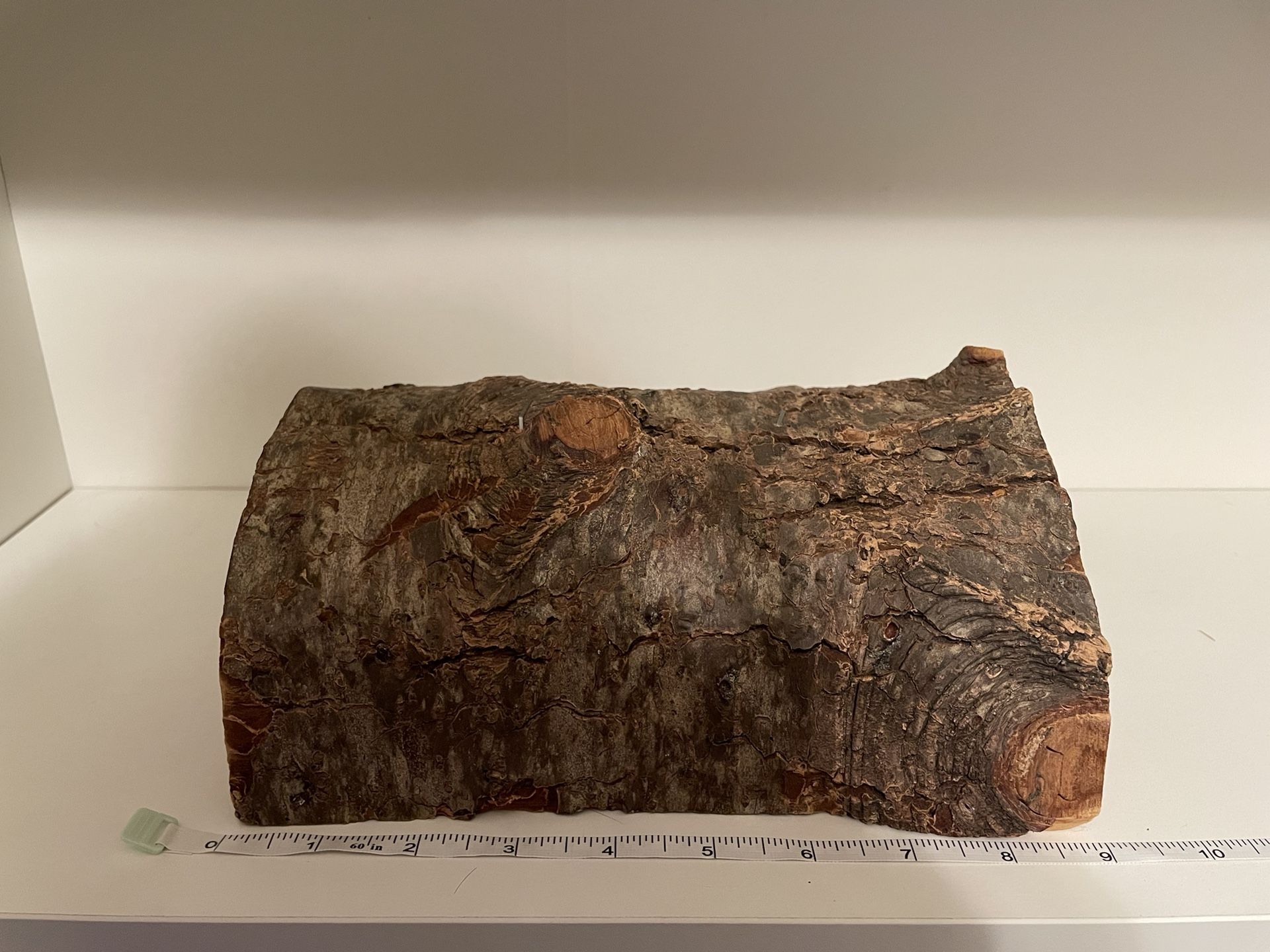 reptile / small animal hide
