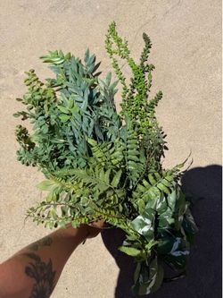 Lot of faux plants