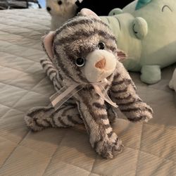 Tabby Car Plush