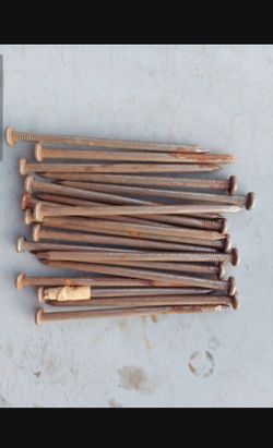 5 Inch Heavy Construction Nails Builder Hardware 19 Nails