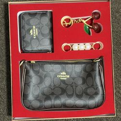 Coach Brown Hang Bag 