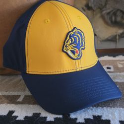 Nashville Predators NHL Winter Classic Adidas Fitted Gold / Blue Hat M/L