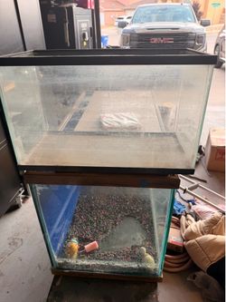 10 gallon fish tank