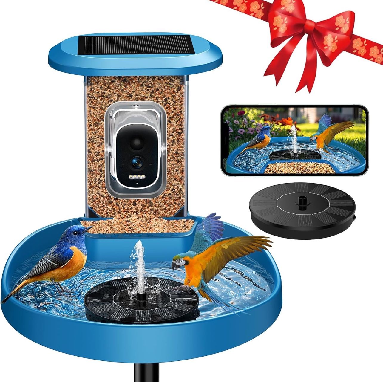 Bird Bath Video Camera