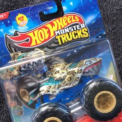 Monster Truck Hot Wheels 