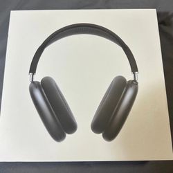 Apple Headphone space grey 