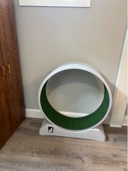 Cat Exercise Wheel