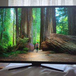 LG 48" 4k OLED Monitor With 120hz (138hz Oc'ed).