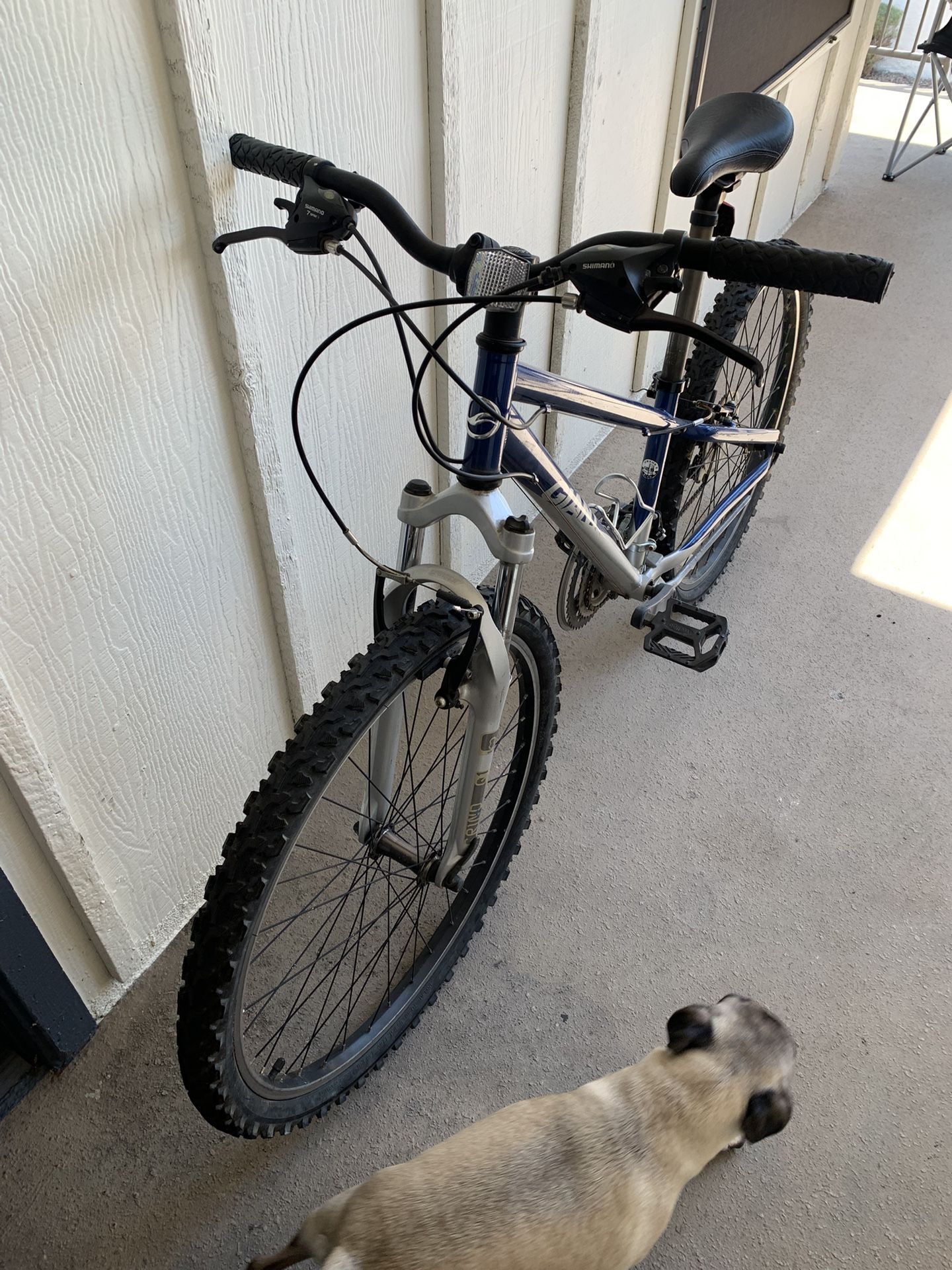 Giant MT Bike