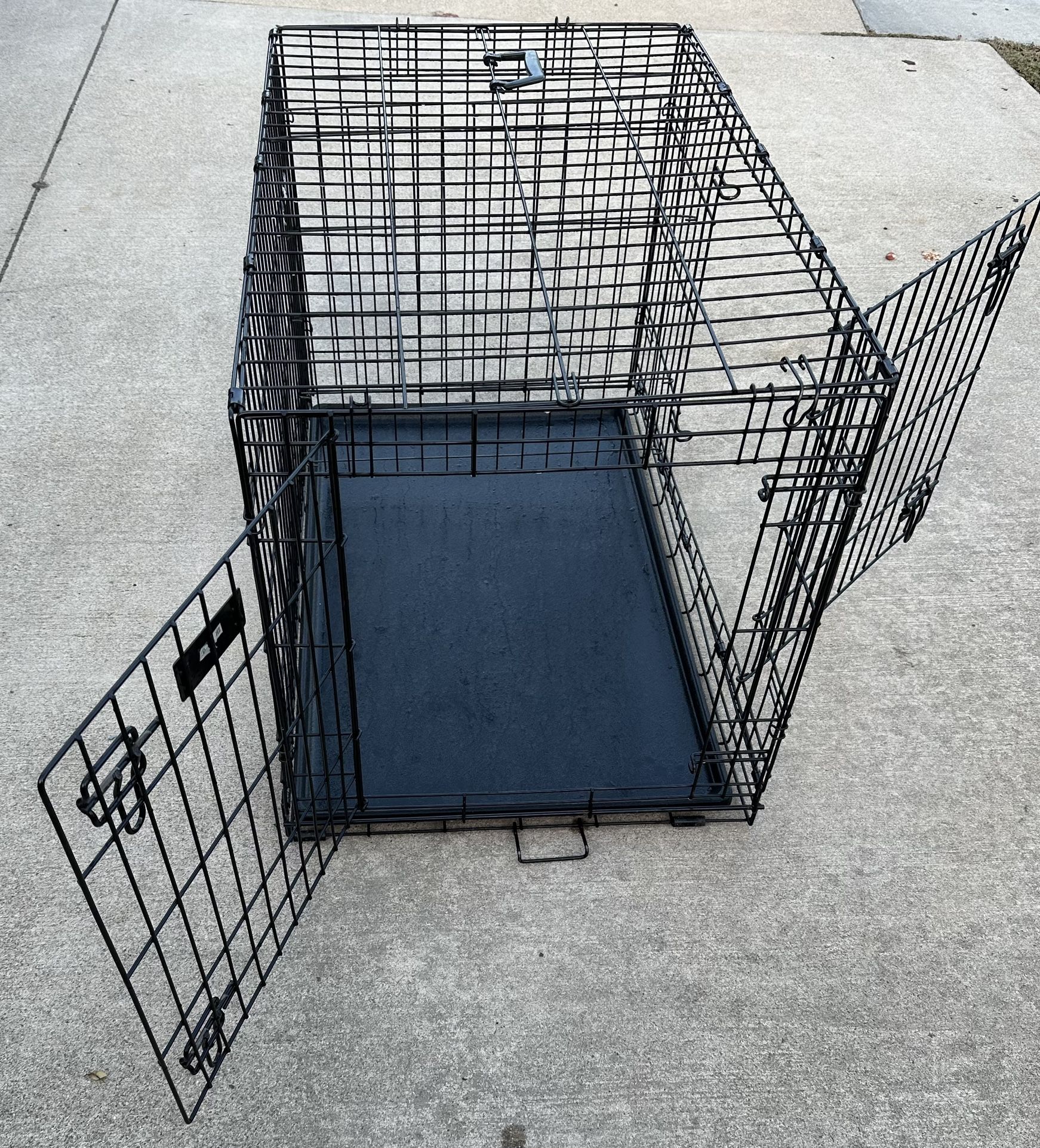 Dog Accessory Bundle $50 OBO