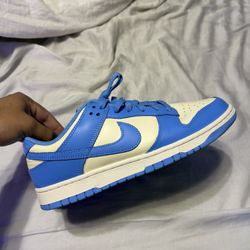 Size 10 Dunks