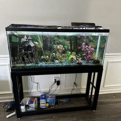 55 Gallon Fish Tank And Stand