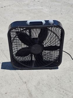 Nice  fan