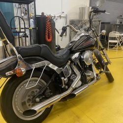92 Softail Custom