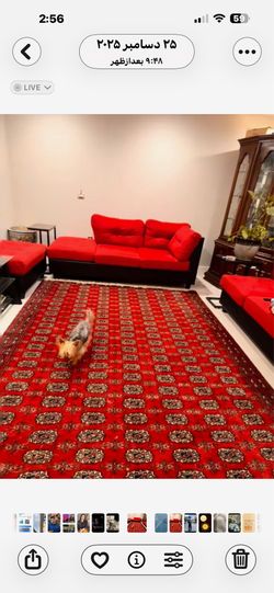 AN AWESOME LIBRARY USE BOKARA DESIGN PAKISTANI RUG