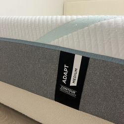 Tempur Pedic Queen Mattress 