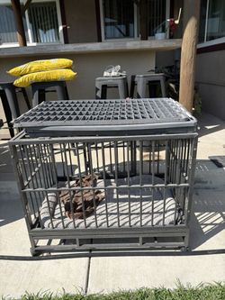 Dog Cage