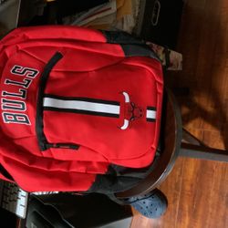 Bulls Back Pack