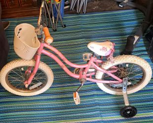 Trek Bike Small Child