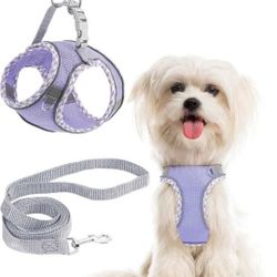 NEW! XXS Dog Harness and Leash Set, No Pull Adjustable, Reflective, Purple
