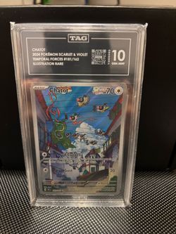 Chatot Illustration Rare Pokémon Card TAG Graded 10