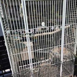 Cages. Different Prices