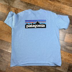 Patagonia Light Blue Men’s T-shirt