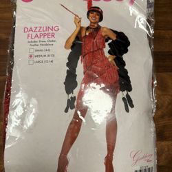 Roaring 1920’s Flapper dress 