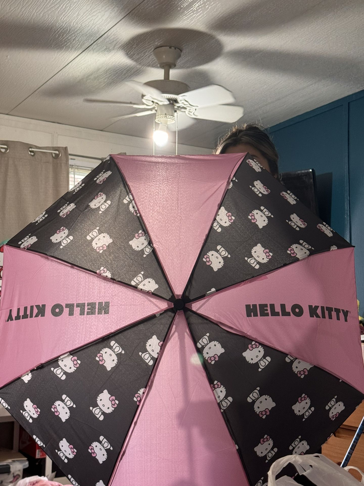 Hello Kitty Umbrella