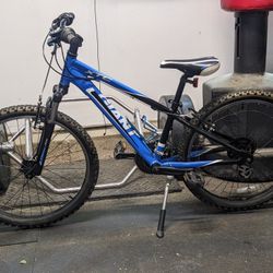 Giant 21 Speed XTC 20" Mountain Bike 
