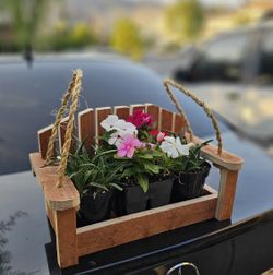 Hanging Bench Planter
