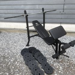 Weight Bench And Weights 