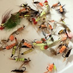 Lot of 50+ Assorted Hand Tied Fly Fishing Flies Mixed Styles, Sizes & Colors Lures Fish