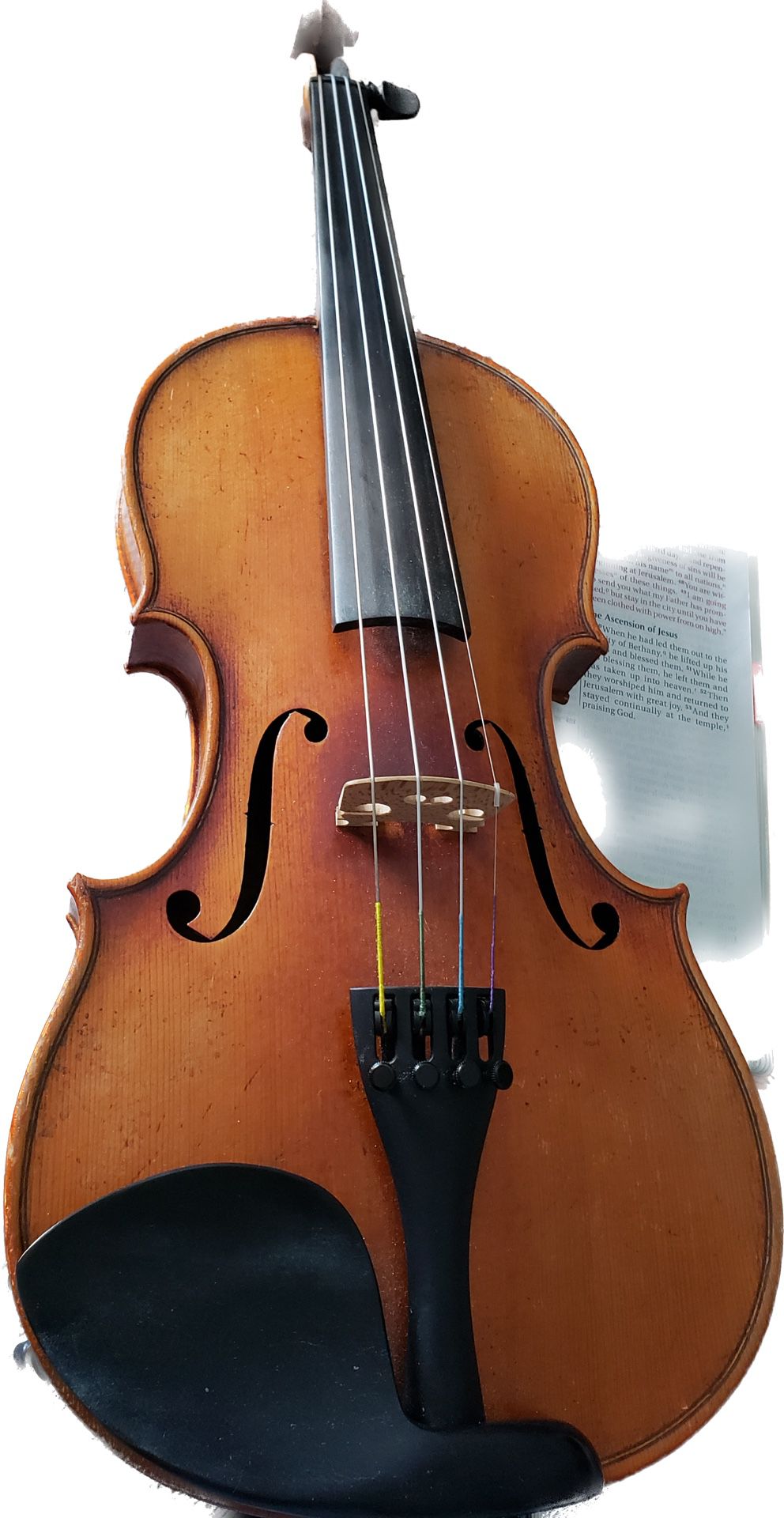 1924 Carlo Micelli Violin