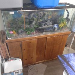 75gal Aquarium For Low Price, With Stand