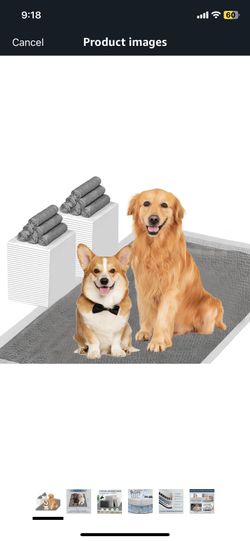 Dog Pads 