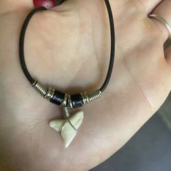 Long Sharktooth Necklace 