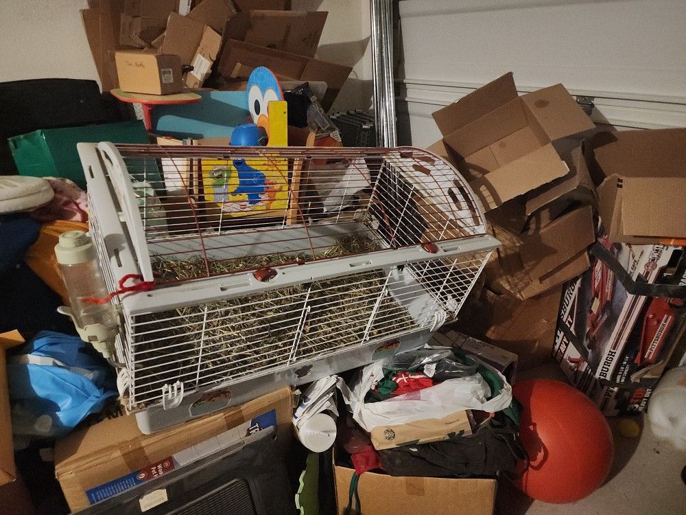 Guinea Pig/small Animal Kennel