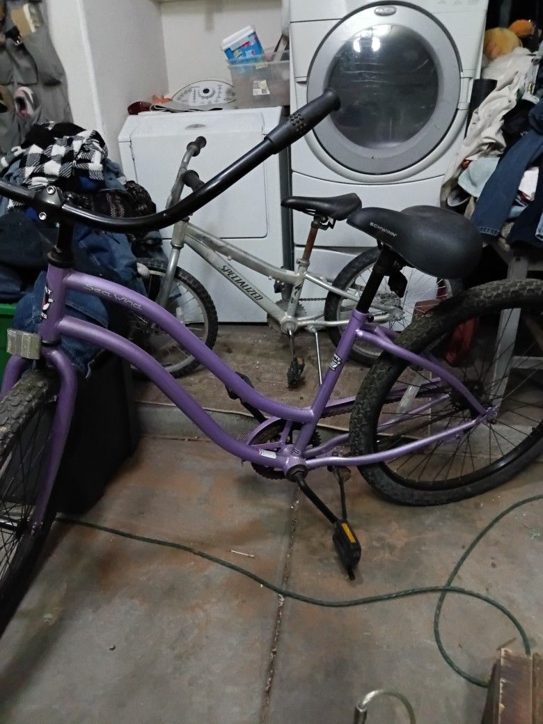 Phat Bike