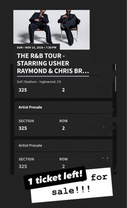 1 Chris brown and usher concert