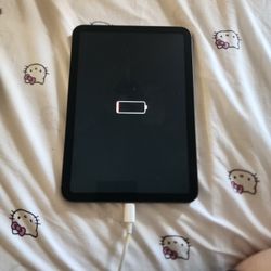 Apple Ipad Mini