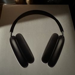 Apple Air Pod Max Like New Only Used About 2 Times