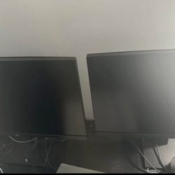 HP V24v G5 FHD Monitors