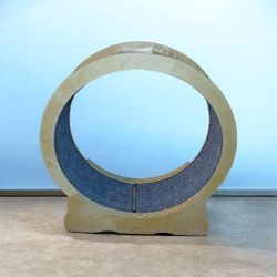 Cat  Exersise Wheel