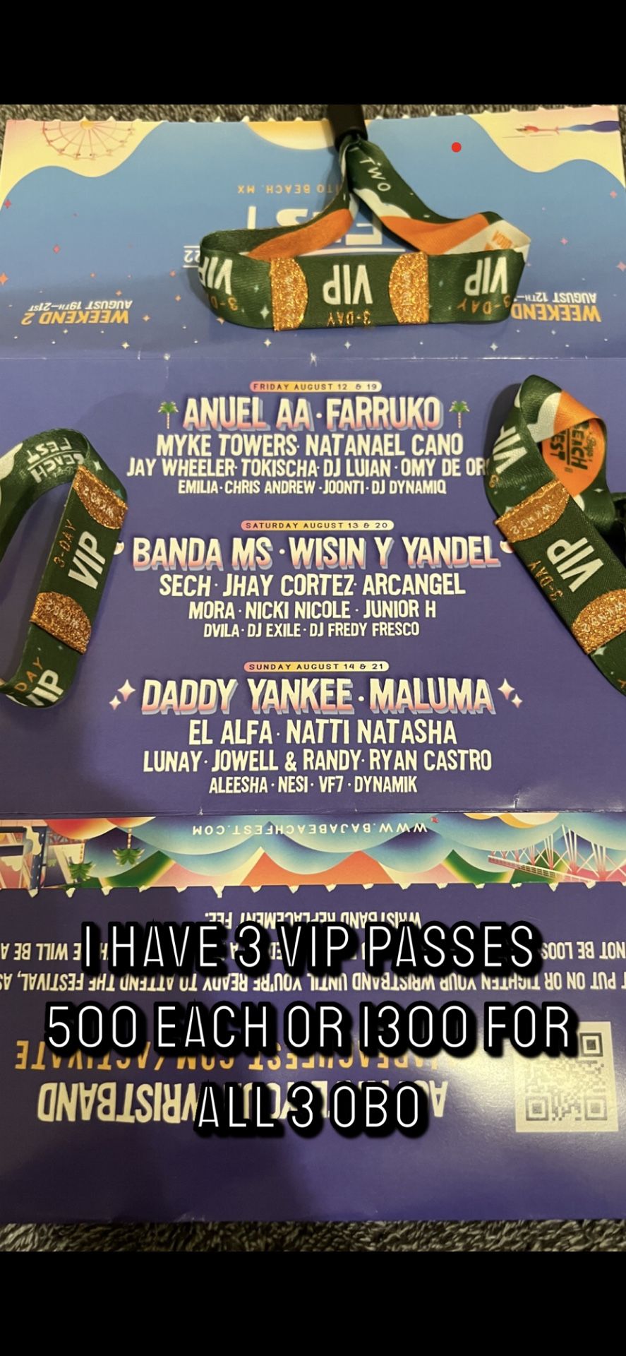 BAJA FEST VIP