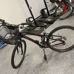 (25’1/2” Tires)Bike With Removable Basket And Seat Cushion 