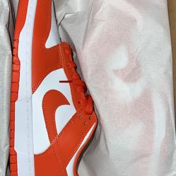 Nike Dunk cosmic clay