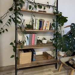 Bookshelves Ladder Shelf 