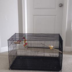 Bird Cage